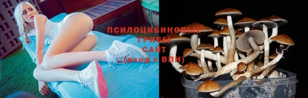 индика Абинск