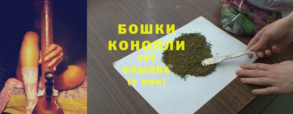 ПСИЛОЦИБИНОВЫЕ ГРИБЫ Абаза