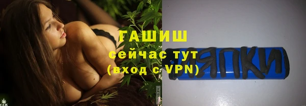 индика Абинск