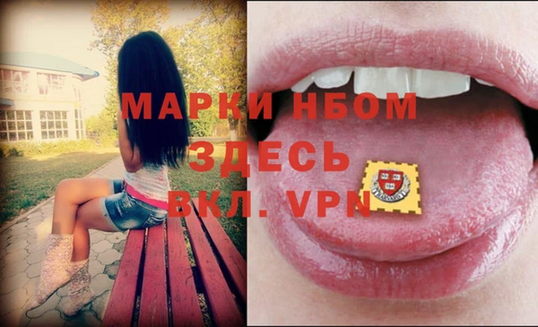 ПСИЛОЦИБИНОВЫЕ ГРИБЫ Абаза