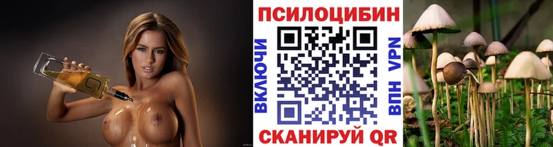 Псилоцибиновые грибы мицелий  Карабаново 
